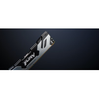 Kingston FURY Renegade - DDR5 - Modulo - 48 GB
