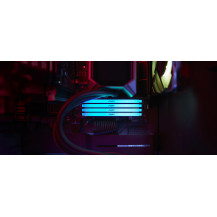 Kingston FURY Beast RGB - DDR4 - Modulo - 16 GB