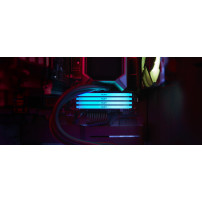 Kingston FURY Beast RGB - DDR4 - Modulo - 16 GB