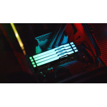 Kingston FURY Beast RGB - DDR5 - kit - 64 GB: