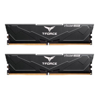Team Group T-FORCE Vulcan - DDR5 - kit - 32 GB: 2 x 16 GB