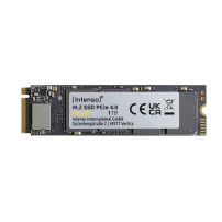 Intenso MI500 - SSD - 1 TB - interno - M.2 2280 - PCIe 4.0 x4 (NVMe)
