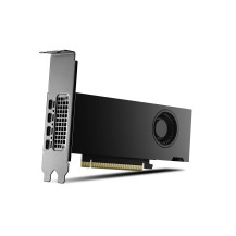 PNY NVIDIA RTX 2000 Ada Generazione - Scheda video