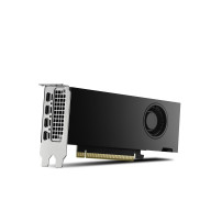 PNY NVIDIA RTX 2000 Ada Generazione - Scheda video