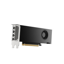 PNY NVIDIA RTX 2000 Ada Generazione - Scheda video