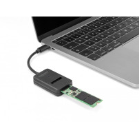 Adattatore di interfaccia Delock - M.2 - Carta M.2 (PCIe NVMe & SATA)