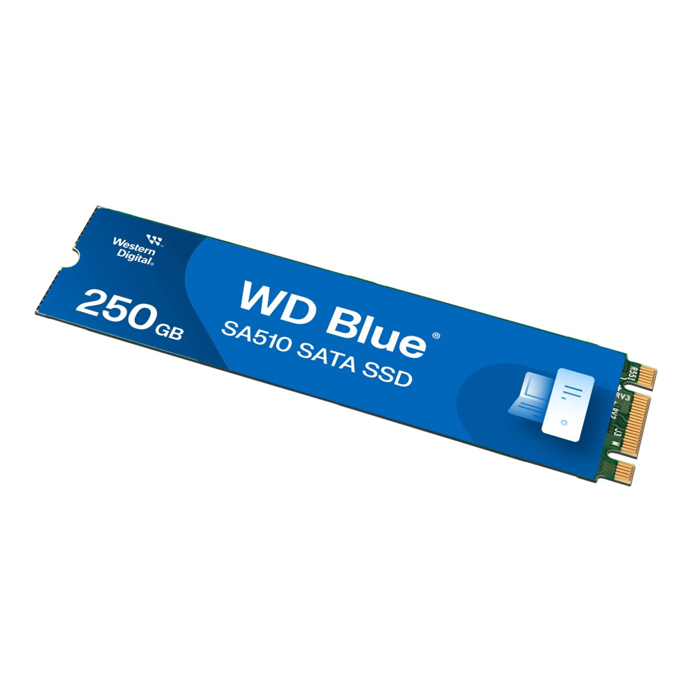 WD Blue SA510 WDS250G3B0B - SSD - 250 GB - interno