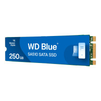 WD Blue SA510 WDS250G3B0B - SSD - 250 GB - interno
