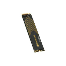 Transcend MTE250S - SSD - 1 TB - interno - M.2 2280 (doppia faccia)