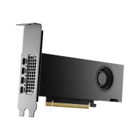 PNY NVIDIA - Scheda video - NVIDIA RTX 2000 Ada
