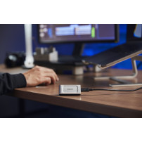 Kingston XS2000 - SSD - 2 TB - esterno (trasportabile) - USB 3.2 Gen 2x2 (connettore USB-C)