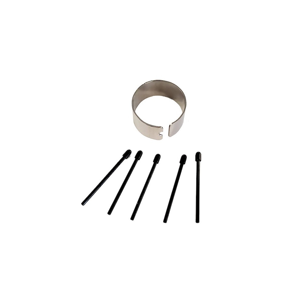 Zebra Spitzen-Kit per penna digitale