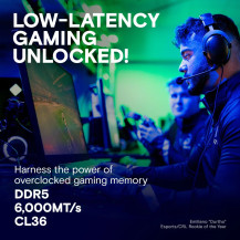 Crucial Pro - Edizione Overclocking - DDR5 - kit