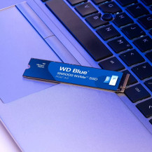 WD Blue SN5000 WDS500G4B0E - SSD - 500 GB - interno - M.2 2280 - PCIe 4.0 x4 (NVMe)