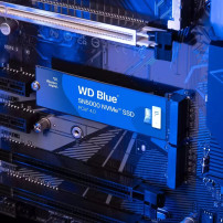 WD Blue SN5000 WDS500G4B0E - SSD - 500 GB - interno - M.2 2280 - PCIe 4.0 x4 (NVMe)