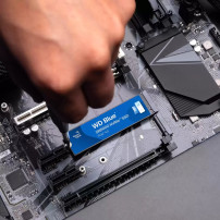 WD Blue SN5000 WDS500G4B0E - SSD - 500 GB - interno - M.2 2280 - PCIe 4.0 x4 (NVMe)