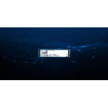 Kingston Data Center DC2000B - SSD - Aziendale - 960 GB - interno - M.2 2280 - PCIe 4.0 x4 (NVMe)