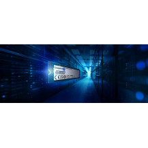 Kingston Data Center DC2000B - SSD - Aziendale - 960 GB - interno - M.2 2280 - PCIe 4.0 x4 (NVMe)