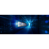 Kingston Data Center DC2000B - SSD - Aziendale - 960 GB - interno - M.2 2280 - PCIe 4.0 x4 (NVMe)
