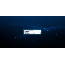 Kingston Data Center DC2000B - SSD - Aziendale - 480 GB - interno - M.2 2280 - PCIe 4.0 x4 (NVMe)