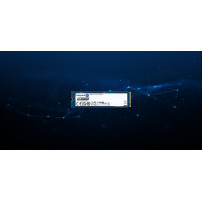 Kingston Data Center DC2000B - SSD - Aziendale - 480 GB - interno - M.2 2280 - PCIe 4.0 x4 (NVMe)