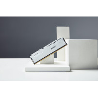 Kingston FURY Beast - DDR5 - kit - 32 GB: 2 x