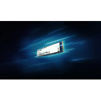 Kingston NV3 - SSD - 4 TB - interno - M.2 2280 - PCIe 4.0 x4 (NVMe)