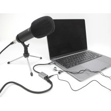 Adattatore Delock da USB-C a jack - 24