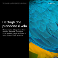 Xerox Cartuccia toner Magenta a Altissima capacità da 8000 Pagine per Stampante a colori ® VersaLink® C400​/​multifunzione a col