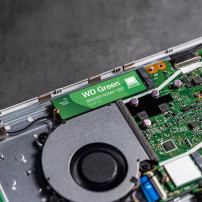 WD Green SN3000 WDS500G4G0E-00CPS0 - SSD - 500 GB - interno - M.2 2280 - PCIe 4.0 x4 (NVMe)