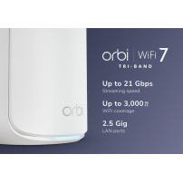 Netgear Orbi 870 Serie RBE870 - Sistema WLAN - (Router)