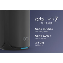 Netgear Orbi 870 Serie RBE870B - Sistema WLAN - (Router)