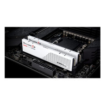 G.Skill F5-6000J2836G32GX2-RS5W, 64 GB, 2 x 32 GB, DDR5, 6000 MHz, 288-pin DIMM