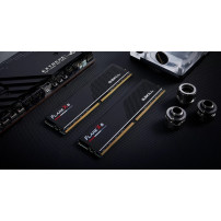 G.Skill Flare X5 F5-5200J4040A32GX2-FX5, 64 GB, 2 x 32 GB, DDR5, 288-pin DIMM