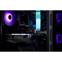 Kingston FURY Renegade G5 - SSD - 2 TB - interno - M.2 2280 - PCI Express 5.0 x4 (NVMe)