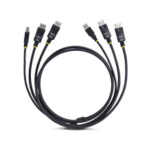 Cavo StarTech.com di 6 piedi (1,8 m) con DisplayPort doppio e USB 5 Gbps per KVM - Tastiera / Video / Mouse (KVM-)