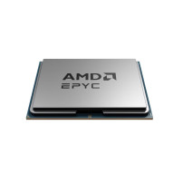 AMD EPYC 9335 - 3 GHz - 32 Kerne - 64 Threads