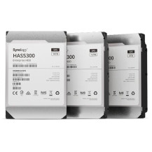 Synology HAS5300 - Festplatte - 12 TB - intern - 3.5" (8.9 cm)