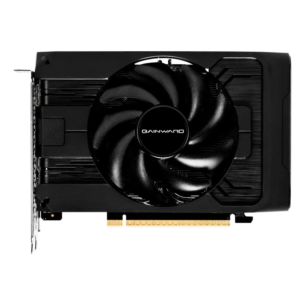 Gainward GeForce RTX 5050 Pegasus 5050 GDDR6 - Grafikkarte - PCI-Express