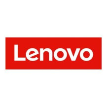 Lenovo SSD - Read Intensive - 3.84 TB - Hot-Swap - 2.5" (6.4 cm)