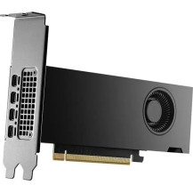 NVIDIA Quadro RTX 2000 ADA FH 16GB GDDR6 PCIe 4.0 x8 Bulk-Version - PCI-Express - 16.384 MB