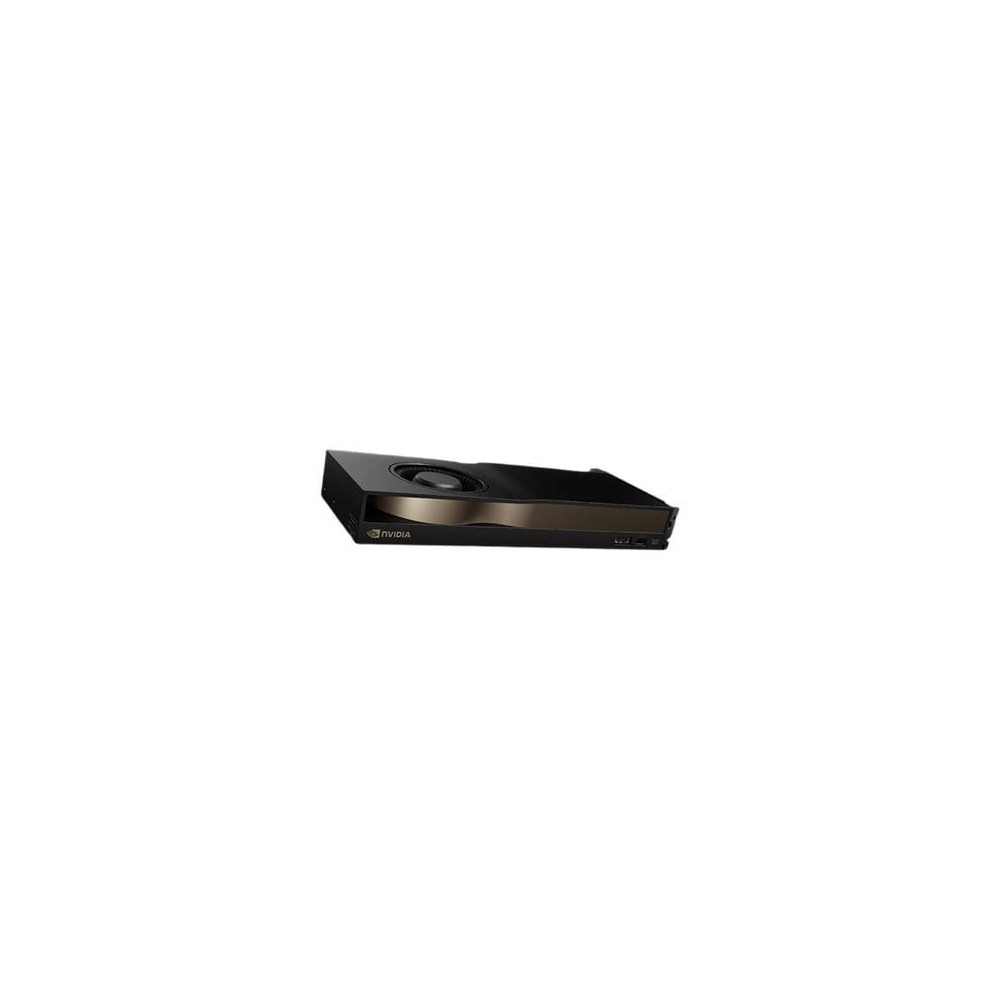 NVIDIA RTX PRO 4500 Blackwell - Grafikkarten