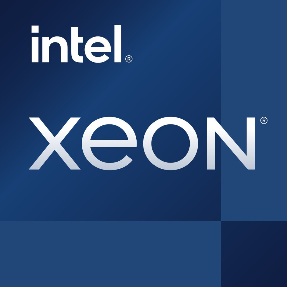 Intel Xeon E-2456 - 3.3 GHz - 6 Kerne - 12 Threads