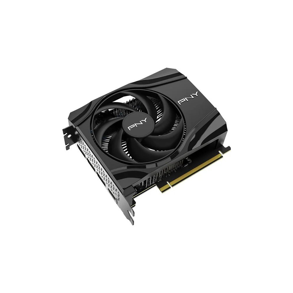 PNY GeForce RTX 5060 8GB - Scheda video - GeForce