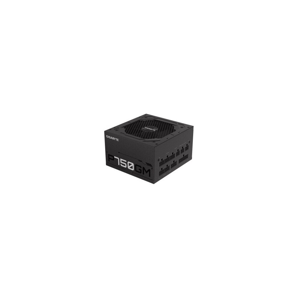 Gigabyte P750GM - Alimentatore ATX interno