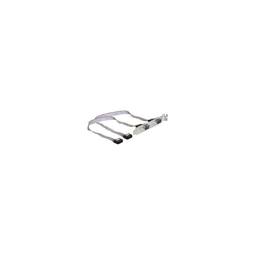 Delock 89268 - 0,4 m - 2x Serial DB9 - 2x COM - Maschio - Femmina