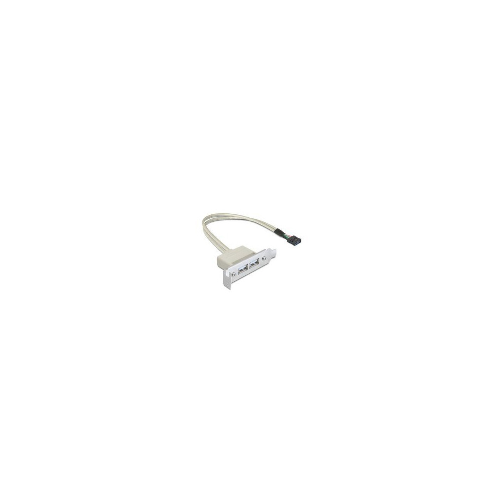 Delock 0.5m Slotblech USB 2.0 - 0,5 m - USB A - USB 2.0 - Maschio/Femmina - Bianco