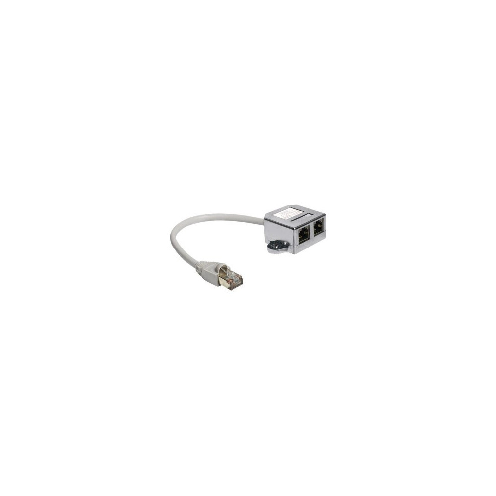 Delock 65177 - RJ45 - 2 x RJ45