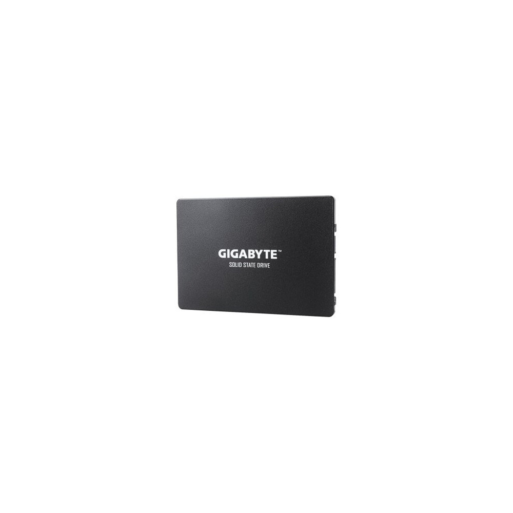 Gigabyte GP-GSTFS31100TNTD - 1000 GB - 2.5″ - 550 MB/s