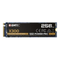 EMTEC X300 NVMe 256 GB - Disco a stato solido